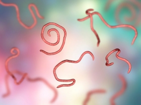 worms and infertility